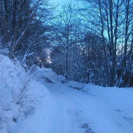 Venkovský dům Roulotte Des Forests *